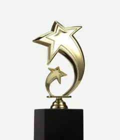 Visionary Design Award