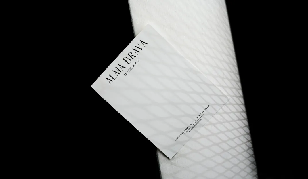 Alma Brava Haven Rebrand